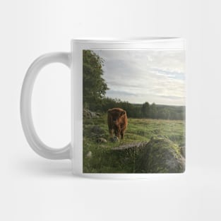 Scottish Highland Cattle Calf 1530 Mug